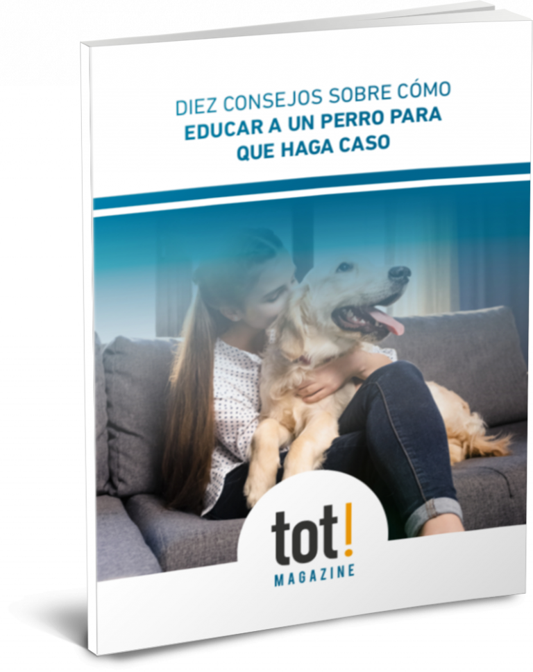 Ebook Consejos Sobre Cómo Educar A Un Perro Para Que Haga Caso Totmagazine By Assegur Andorra 8194